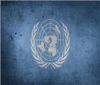 مندوب فلسطين بالأمم المتحدة: إفلات إسرائيل من العقاب يجعلها تتمادى في القتل