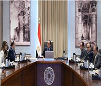 رئيس الوزراء يستعرض مع وزير المالية مقترح وثيقة السياسة الضريبية لمصر 2024–2030 