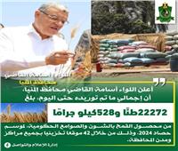     توريد 22 ألف طن من محصول القمح بالشون والصوامع الحكومية بمراكز المنيا