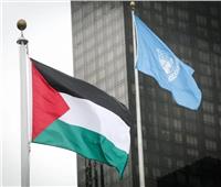 143 دولة تدعم منح فلسطين عضوية كاملة في الأمم المتحدة.. وإسرائيل: قرار سخيف!