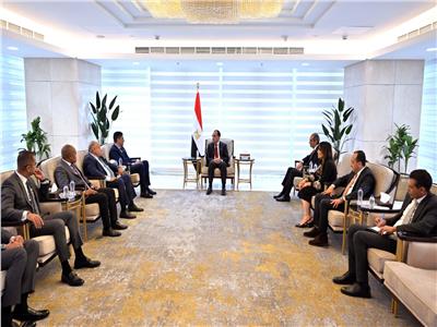 رئيس الوزراء يبحث مع مسئولي شركة فوداكوم العالمية تعظيم استثماراتها في السوق المصرية