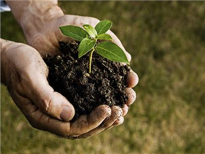 في اليوم العالمي الثالث لـ «الصحة النباتية».. تعرف على أهدافه