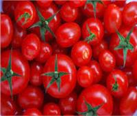الغرف التجارية : التغييرات المناخية ترفع أسعار الطماطم و البطاطس 40%