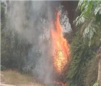 إخماد حريق بمخلفات أشجار في "حدائق الأهرام" بالجيزة