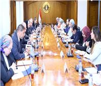 وزيرتا البيئة والتجارة والصناعة تستعرضان التحضير لاستضافة مصر لقمة المناخ COP27 خلال شهر نوفمبر المقبل