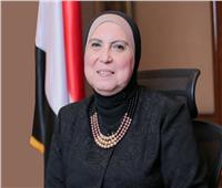 القاهرة تستضيف اللجنة العليا للشراكة الصناعية التكاملية بين مصر والامارات والاردن