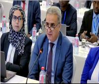 مصر تشارك في الإجتماع التاسع لمجلس وزراء منطقة التجارة الحرة القارية الإفريقية 