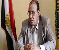 رئيس الاتحاد العام للجمعيات والمؤسسات الأهلية: هناك استهداف للدولة المصرية 