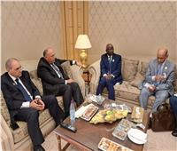 «شكري» يلتقي وزير الشئون الخارجية والتعاون الموريتاني بالرياض