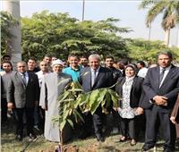 انطلاق مبادرة «هنجملها» بجامعة الأزهر بزراعة 1000 شجرة مثمرة