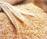 وزير التموين: احتياطي القمح والزيت يكفي نحو ستة أشهر