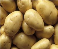  الهيئة القومية لسلامة الغذاء : البطاطس المصرية تتصدر قائمة الخضروات المصدرة للأسواق الخارجية