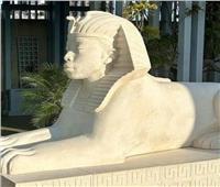 خاص/ «أبو الهول» برأس «زنجي» في متحف أمريكي.. وحواس: مهزلة بحق الحضارة المصرية القديمة