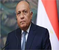 وزير الخارجية يستكمل المشاركة في لقاءات اللجنة الوزارية العربية - الإسلامية 