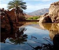 وزير الري: تنفيذ 556 منشأ للحماية من أخطار السيول بـ «شمال وجنوب سيناء»