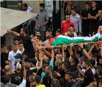 ارتفاع عدد شهداء العدوان الإسرائيلي المستمر على غزة إلى 29514 فلسطينيا