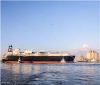  ميناء دمياط يستقبل 10 سفينة محملة بـ  48509  طن قمح وسلع استراتيجية 