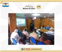 «العمل» تنظم ندوة للسلامة والصحة المهنية والمشكلة السكانية وآثارها بالقاهرة