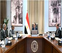 رئيس الوزراء يتابع إجراءات توفير التمويل المطلوب لمشروعات الطاقة الجديدة والمتجددة