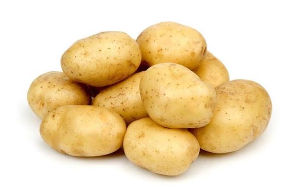 زراعات البطاطس 