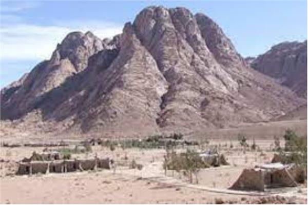 سيناء