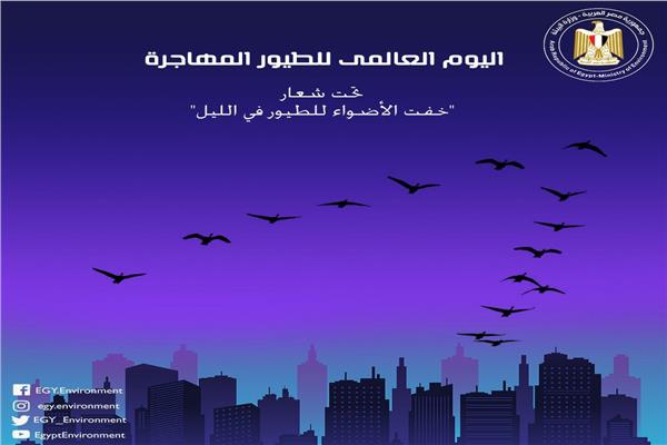 صورة موضوعية