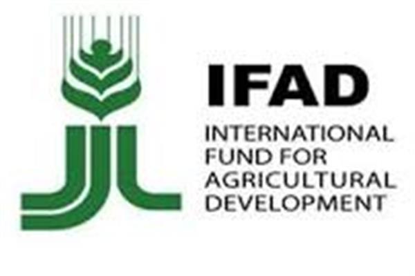 الصندوق الدولى للتنمية الزراعية