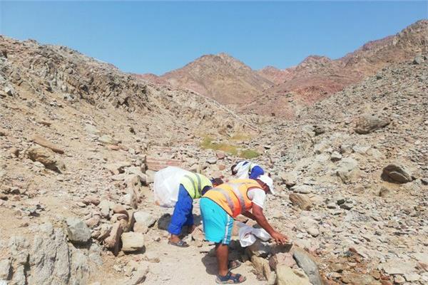 البيئة: الأكياس البلاستيكية تهدد النظم البيئي بالمحميات الطبيعية 