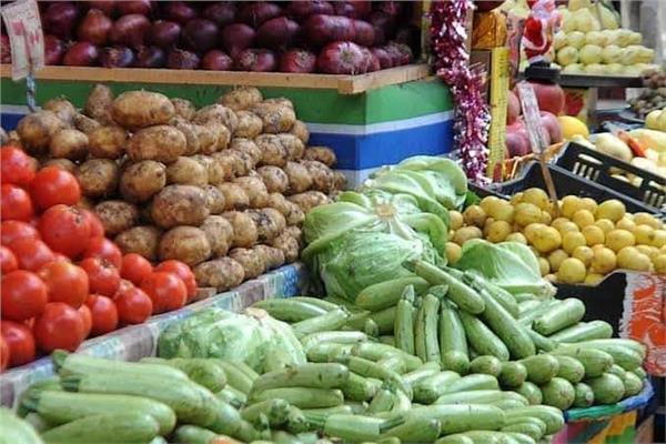 إستقرار أسعار الخضروات 