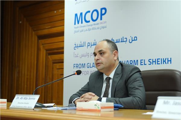الدكتورعلي أبو سنة الرئيس التنفيذي لجهاز شئون البيئة