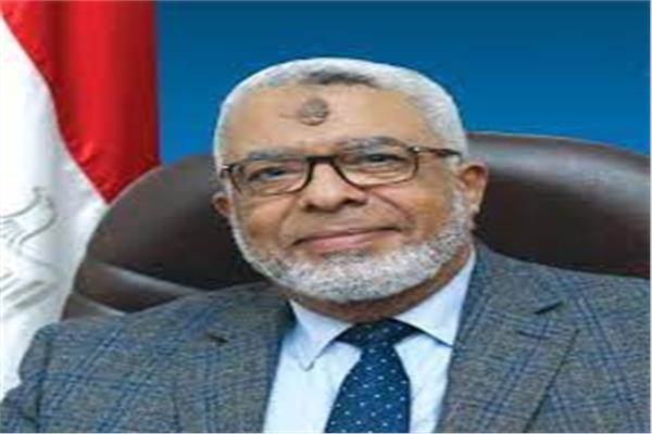 حسن أمين، نقيب المحامين بجنوب القاهرة