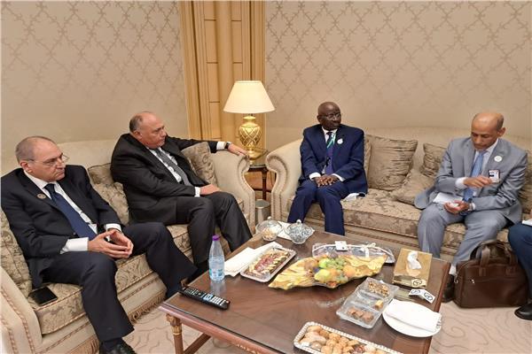 سامح شكري يلتقى وزير الشئون الخارجية والتعاون الموريتاني بالرياض