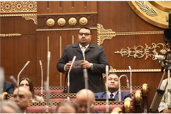 النائب أحمد القناوي عضو مجلس الشيوخ نائب رئيس حزب العدل،