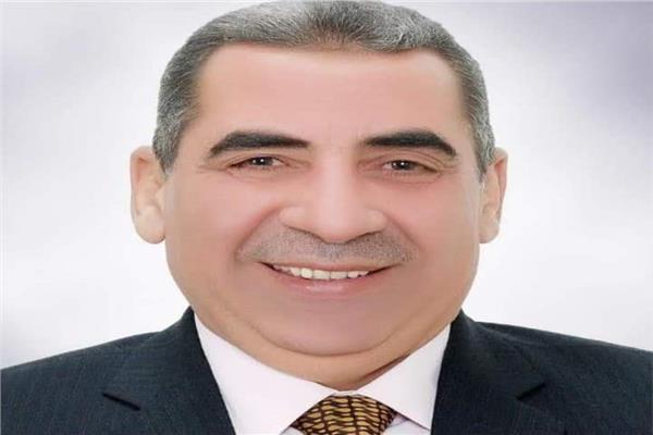  الدكتور فايز الضباعني رئيس مصلحة الضرائب المصرية 