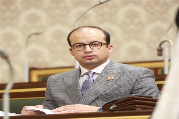 النائب خالد بدوي، عضو مجلس النواب