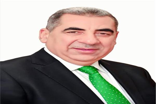 فايز الضباعني رئيس مصلحة الضرائب المصرية 