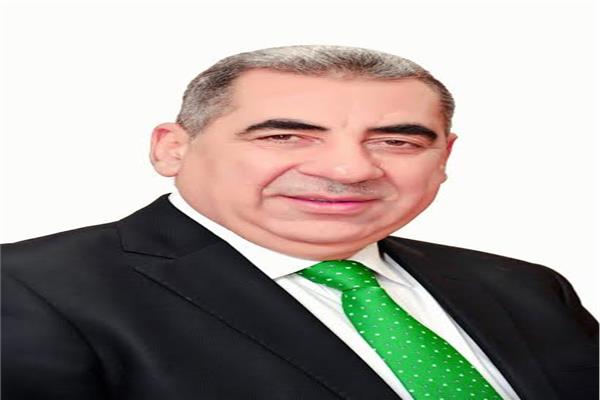 الدكتور فايز الضباعني رئيس مصلحة الضرائب المصرية"