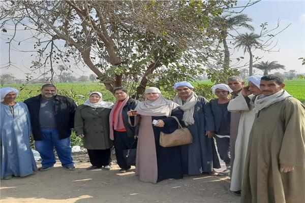 صورة موضوعية