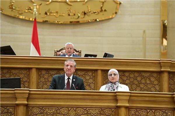  الدكتور فخري الفقي رئيس لجنة الخطة والموازنة بمجلس النواب