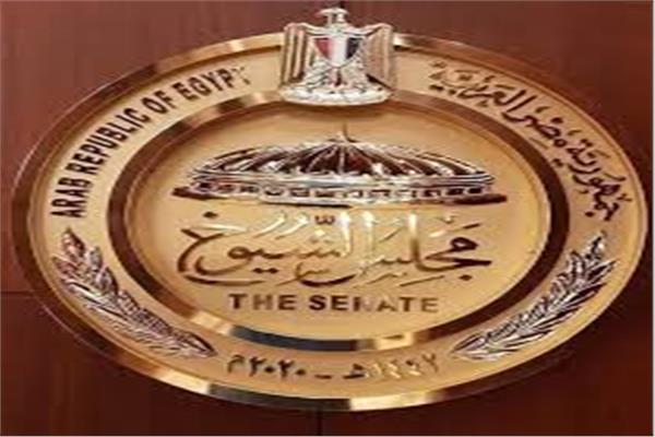 صورة موضوعية