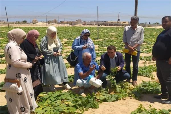  حملات ارشادية لحماية المحاصيل من الحرارة الشديدة