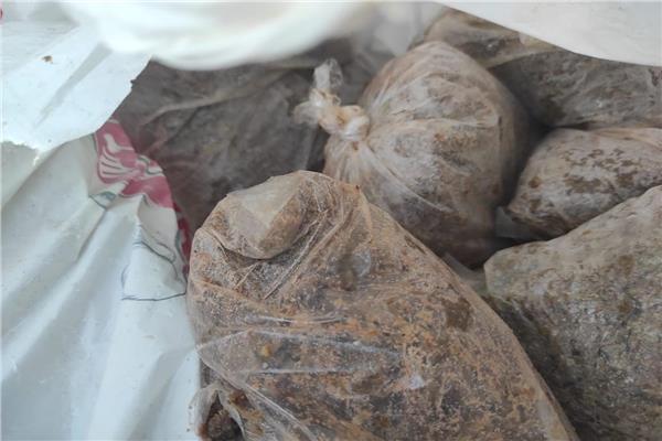 ارشفية