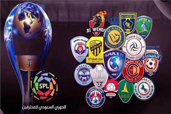 الدوري السعودي للمحترفين