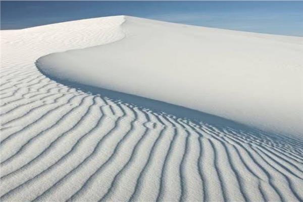 صورة موضوعية