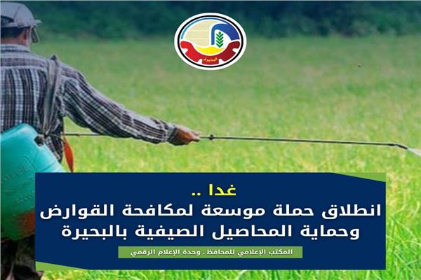 صورة موضوعية