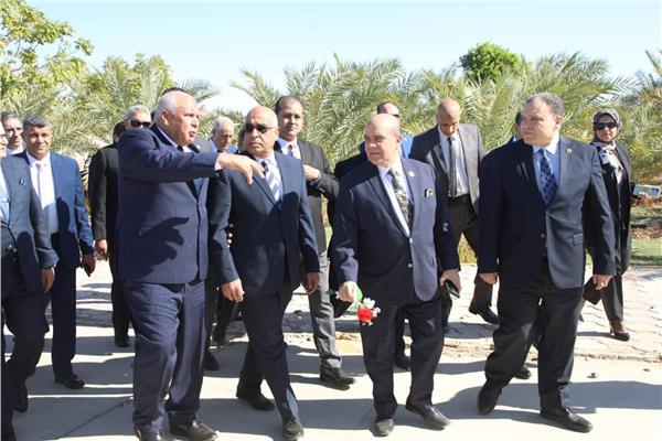 صورة موضوعية
