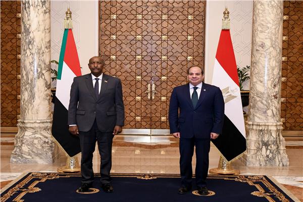 الرئيس عبد الفتاح السيسي خلال  مراسم الاستقبال 