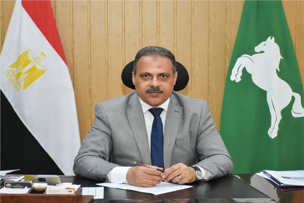 المحافظ