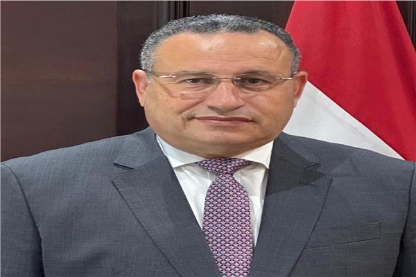 عبدالعزيز قنصوة  وزير للتعليم العالي