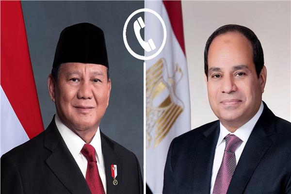 الرئيس السيسي ونظيره الإندونيسي 